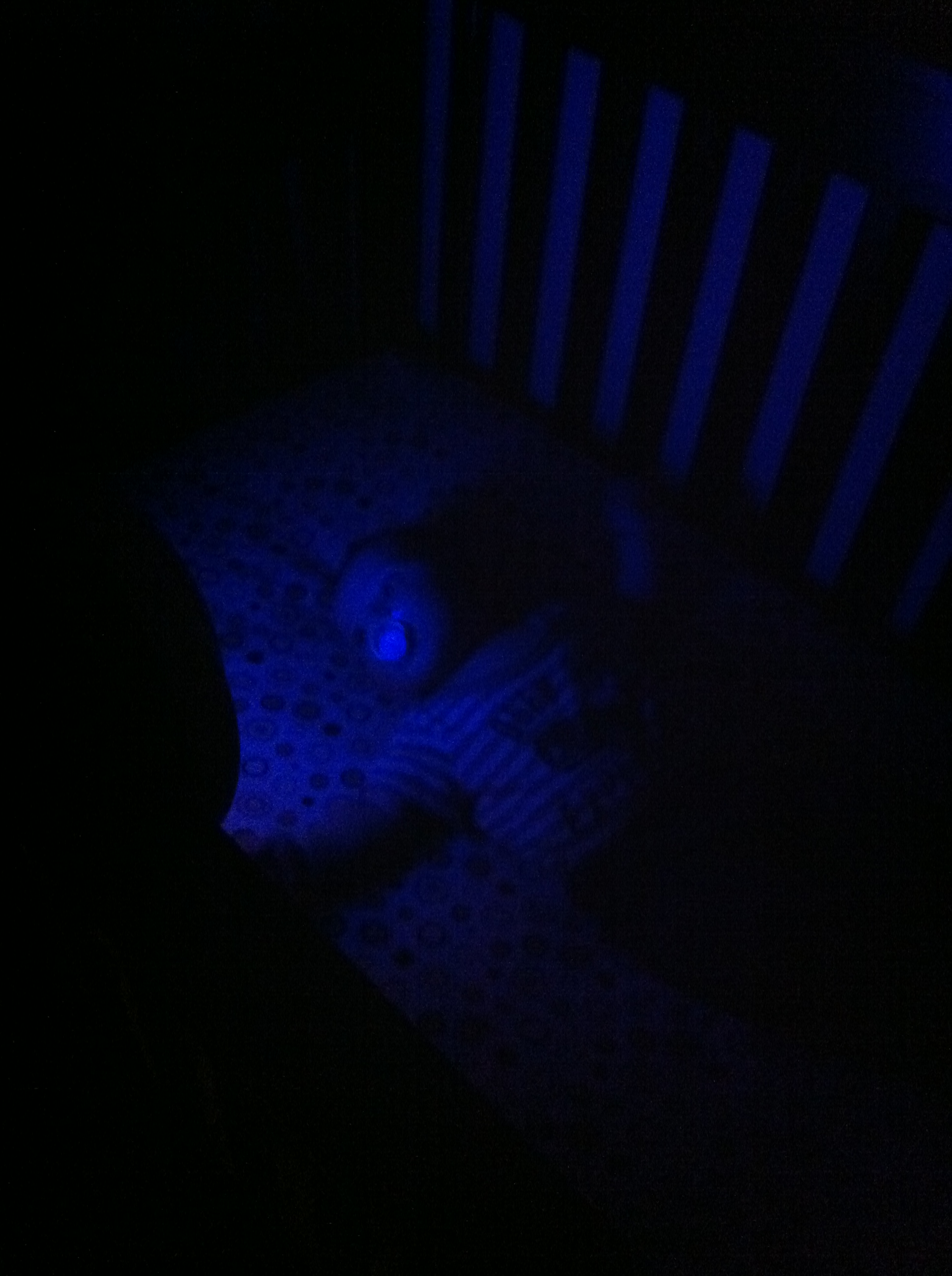 2012-01-28 21.24.18.jpg