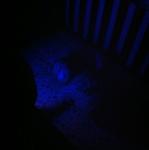 2012-01-28 21.24.18.jpg