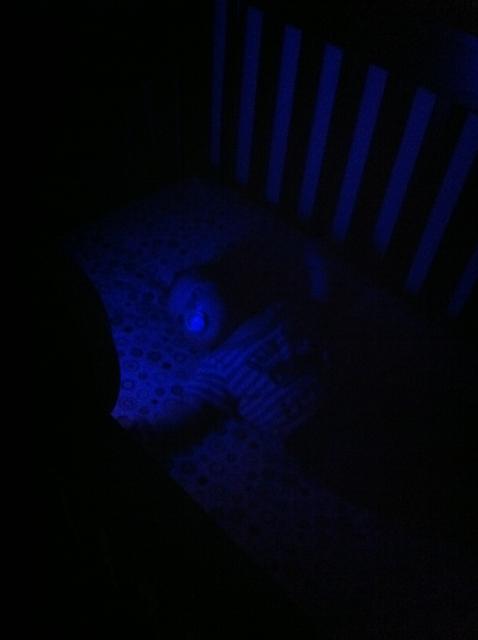 2012-01-28 21.24.18.jpg