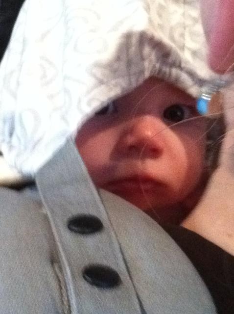 2011-10-01 15.06.31.jpg