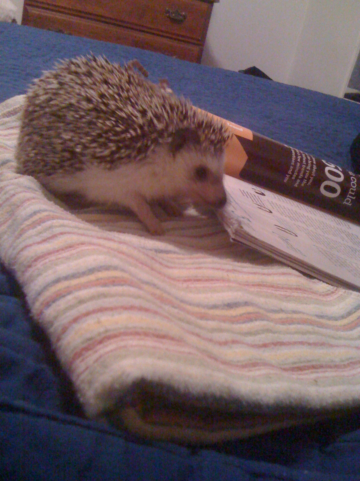 2010-08-15 21.44.52.jpg