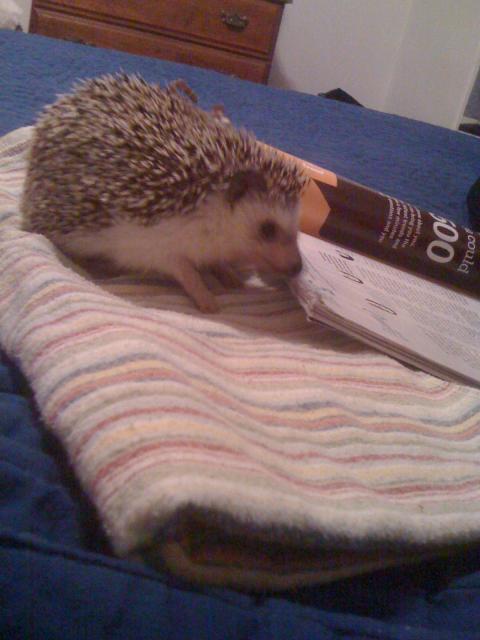 2010-08-15 21.44.52.jpg