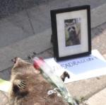 2015-07-10 19.03.21.jpg