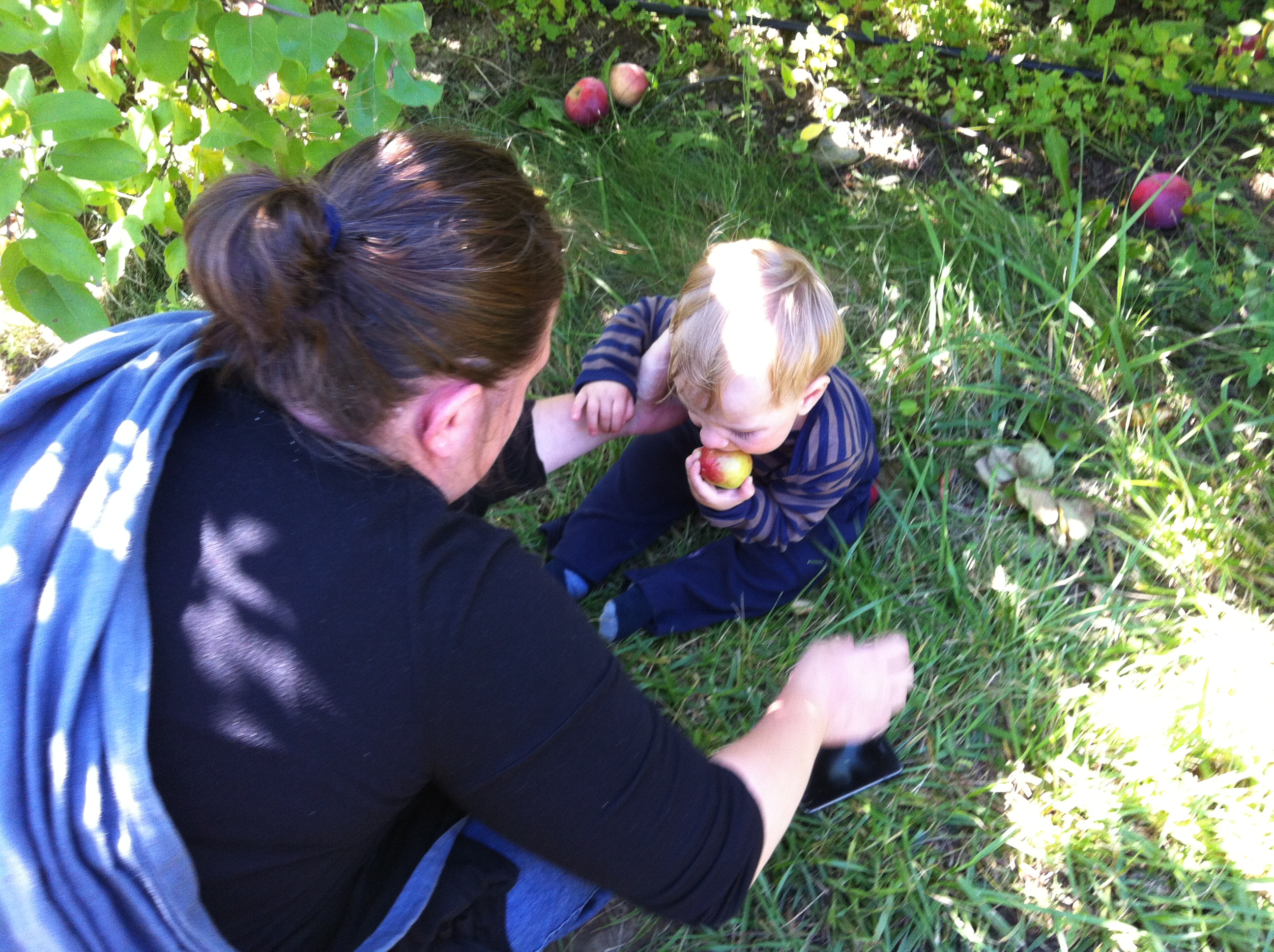 2012-09-22 14.08.09.jpg