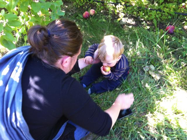 2012-09-22 14.08.09.jpg