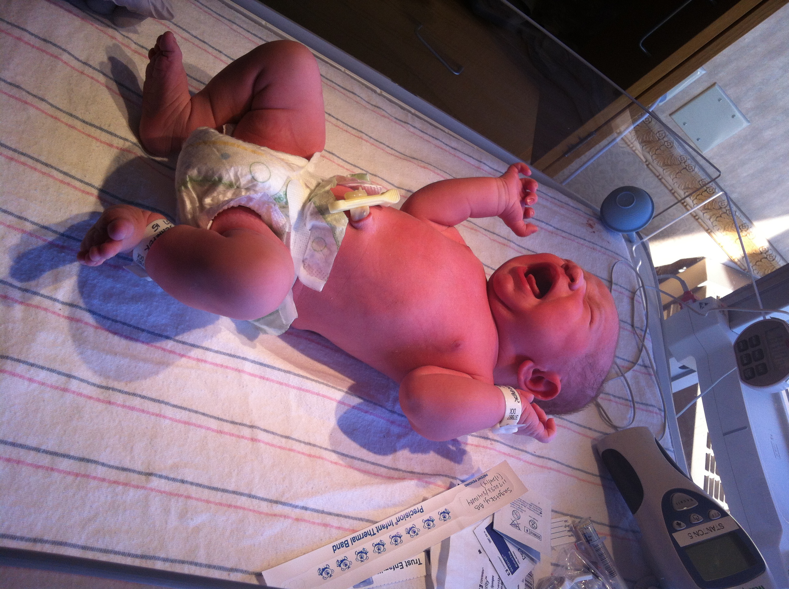 2014-01-24 11.29.34.jpg