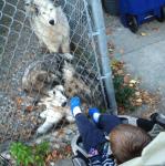 2013-10-09 18.10.37.jpg