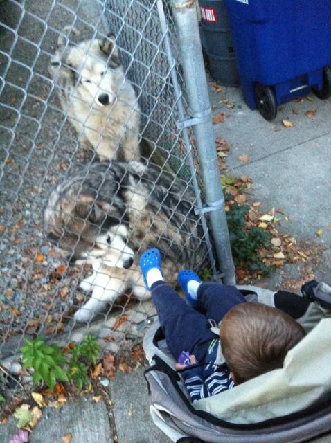 2013-10-09 18.10.37.jpg