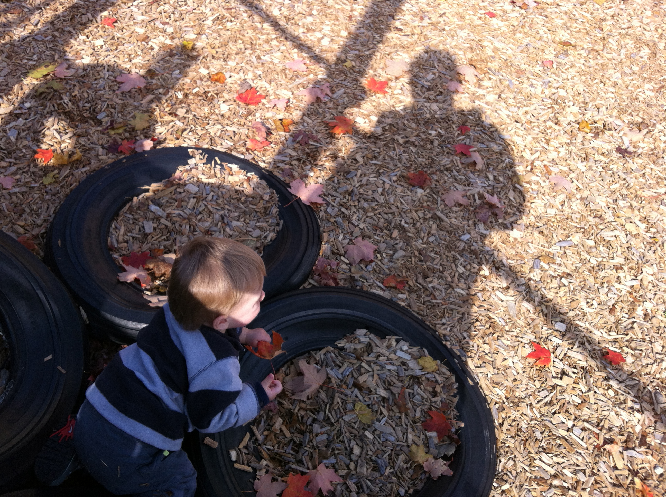 2012-10-21 13.15.16.jpg