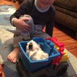 2015-06-02 19.57.12.jpg