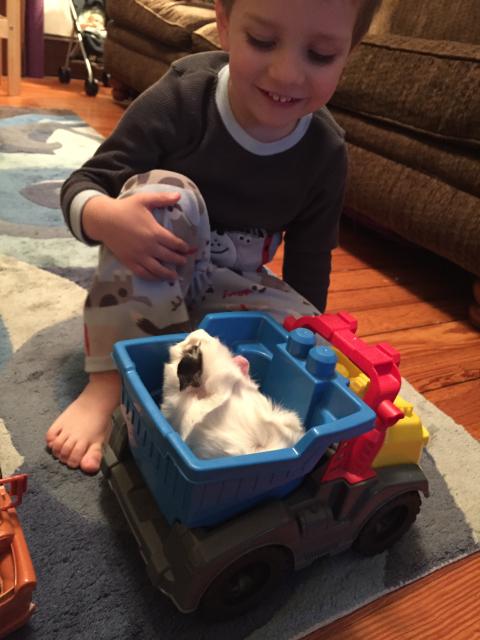 2015-06-02 19.57.12.jpg