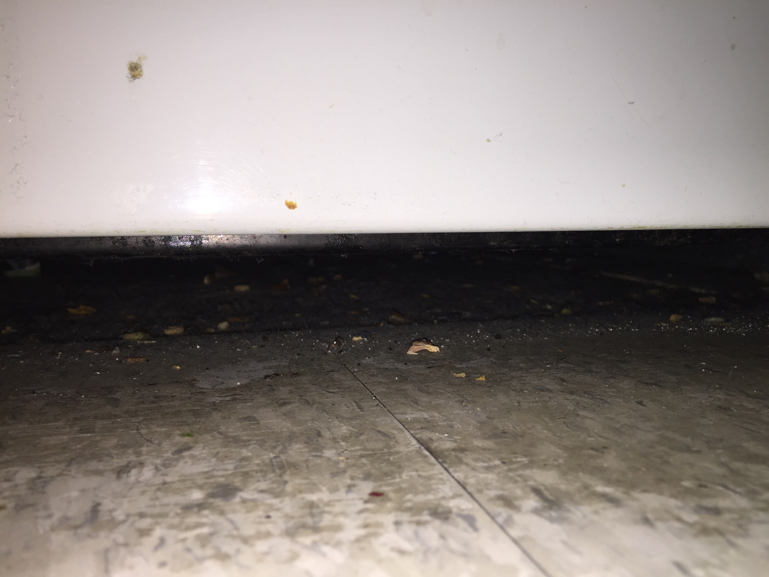 2015-03-11 23.04.59.jpg