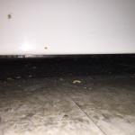 2015-03-11 23.04.59.jpg