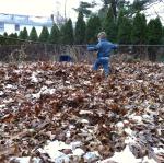 2014-11-27 15.43.18.jpg