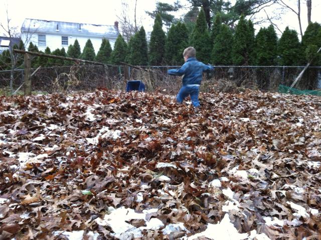 2014-11-27 15.43.18.jpg