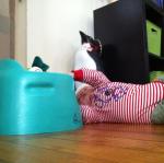 2012-05-31 16.22.35.jpg