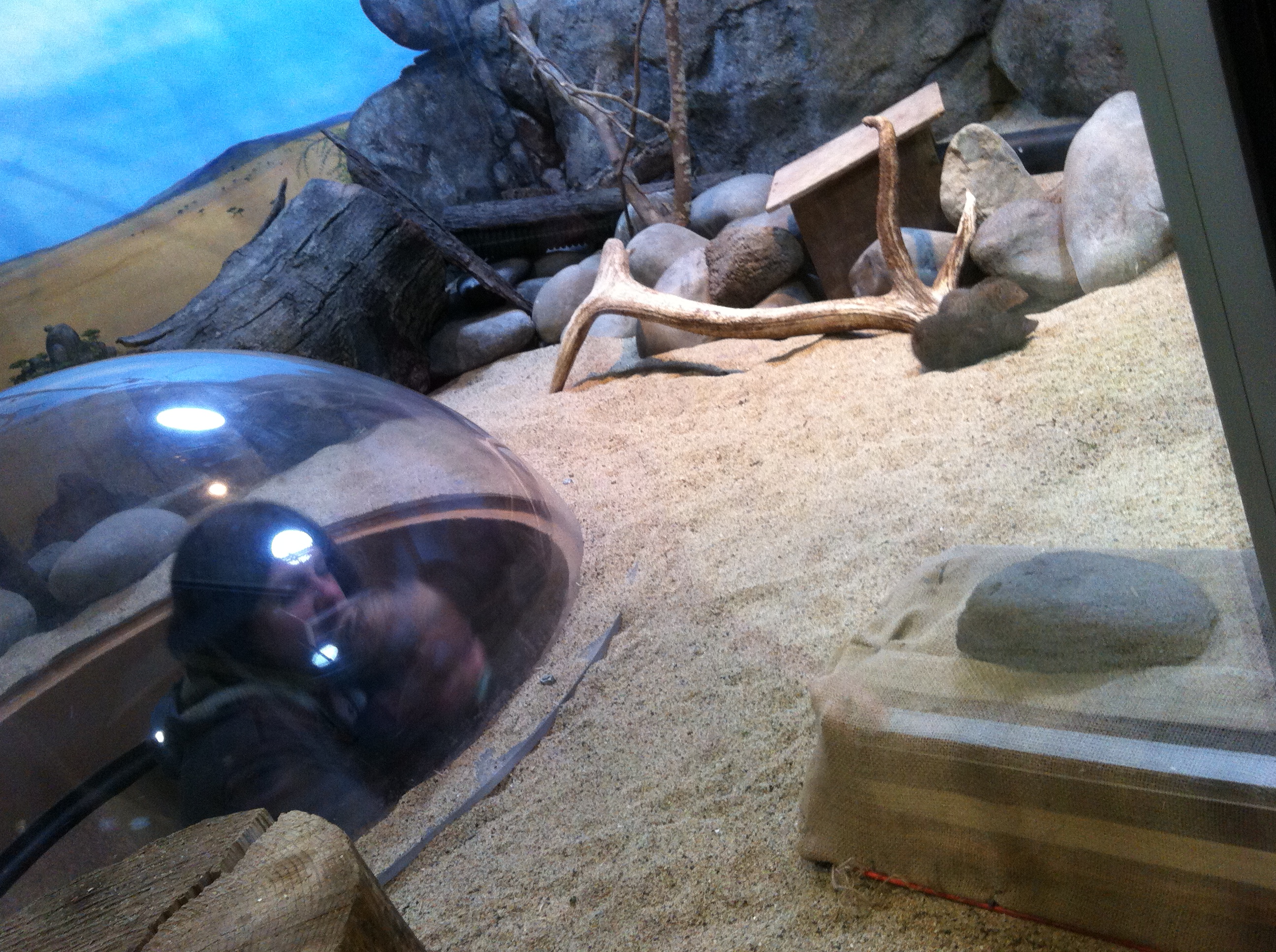 2013-05-20 10.18.50.jpg