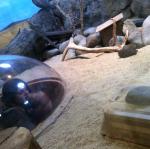 2013-05-20 10.18.50.jpg