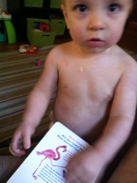 2012-11-14 07.43.33.jpg