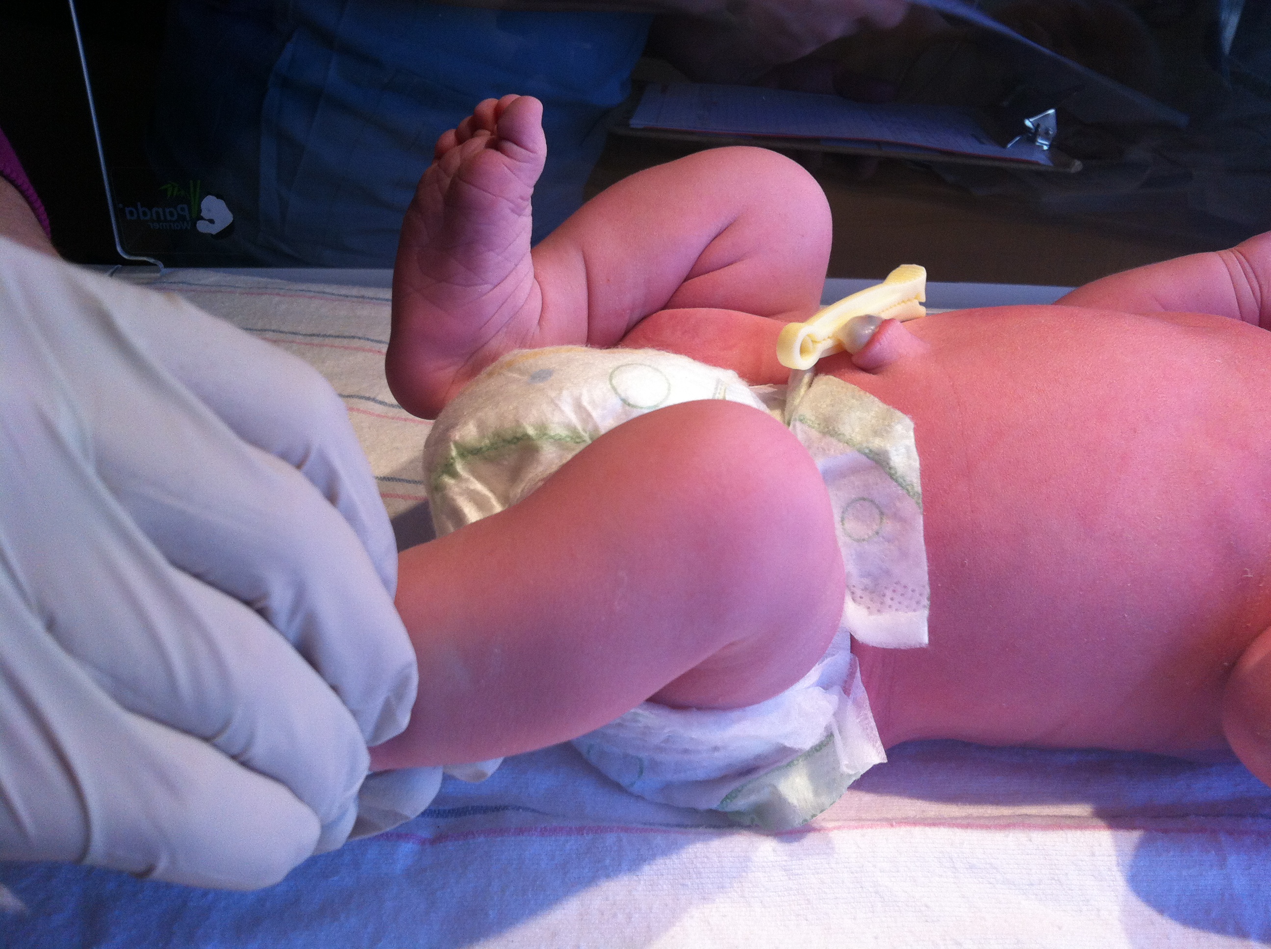 2014-01-24 11.29.05.jpg