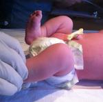 2014-01-24 11.29.05.jpg