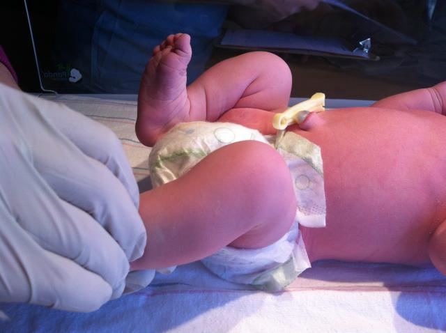 2014-01-24 11.29.05.jpg