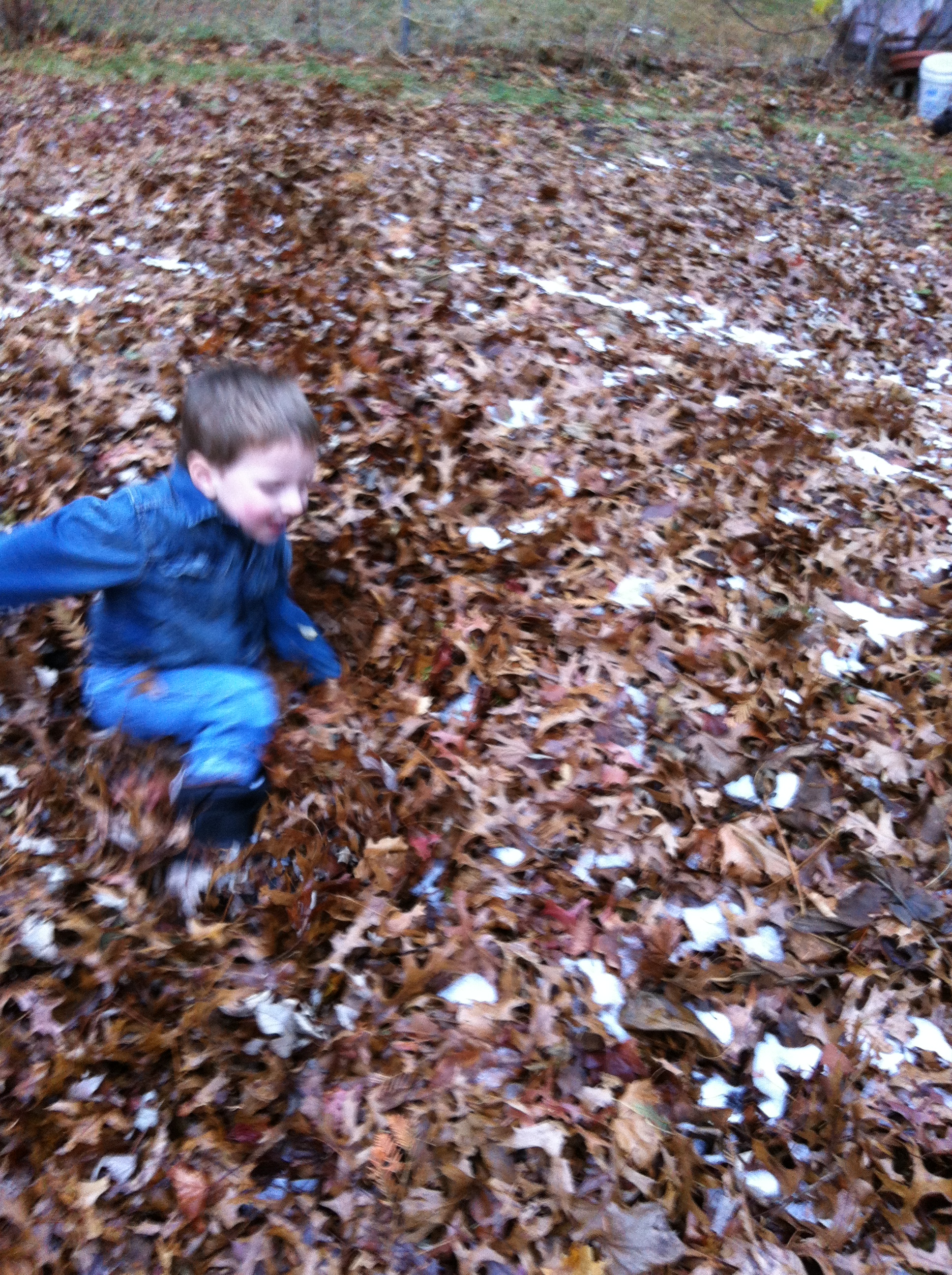 2014-11-27 15.42.25.jpg