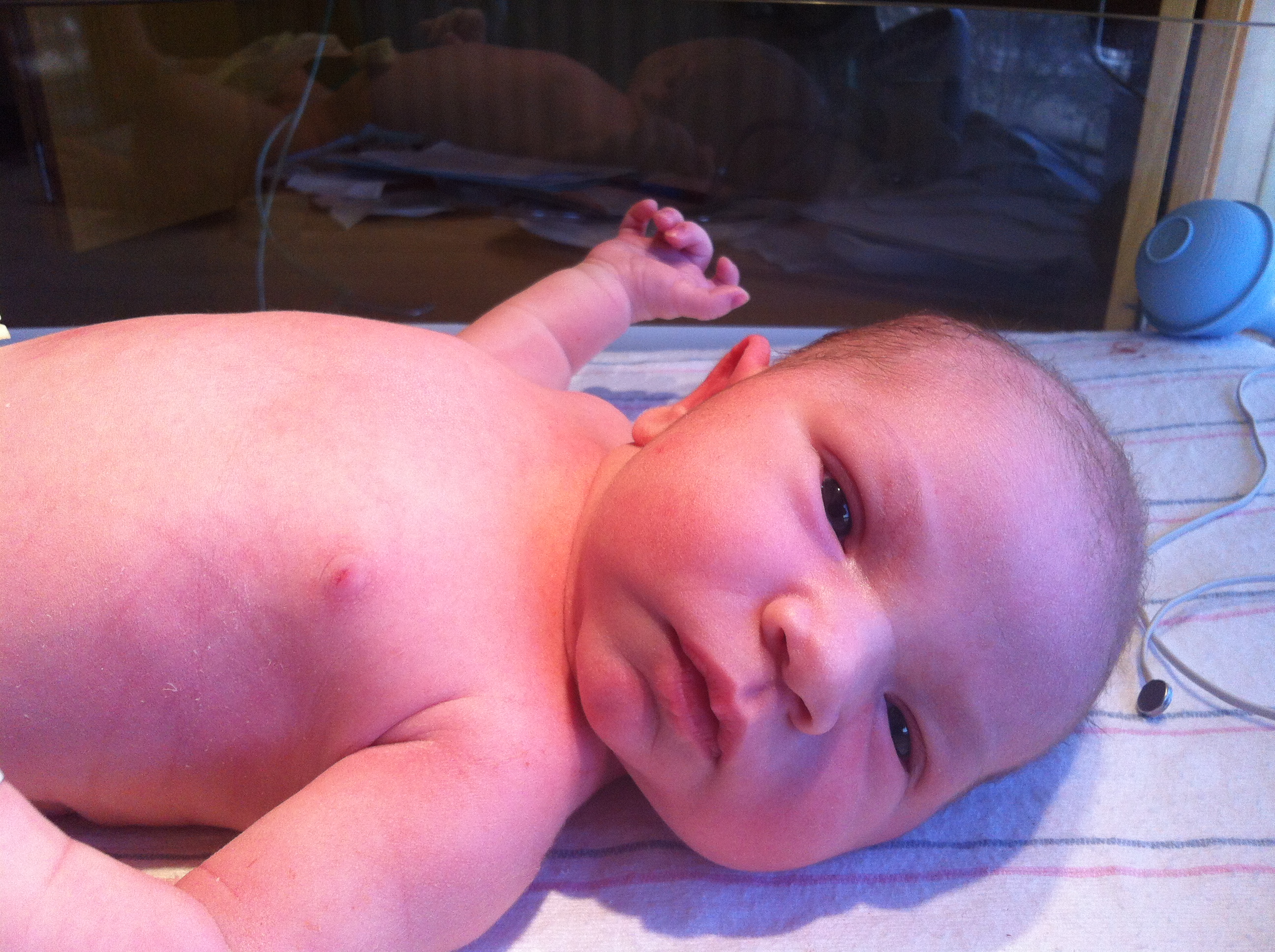 2014-01-24 11.31.04.jpg