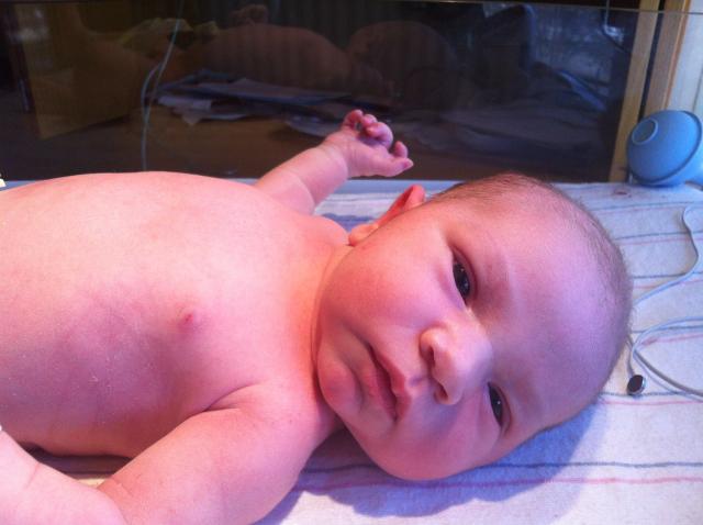 2014-01-24 11.31.04.jpg