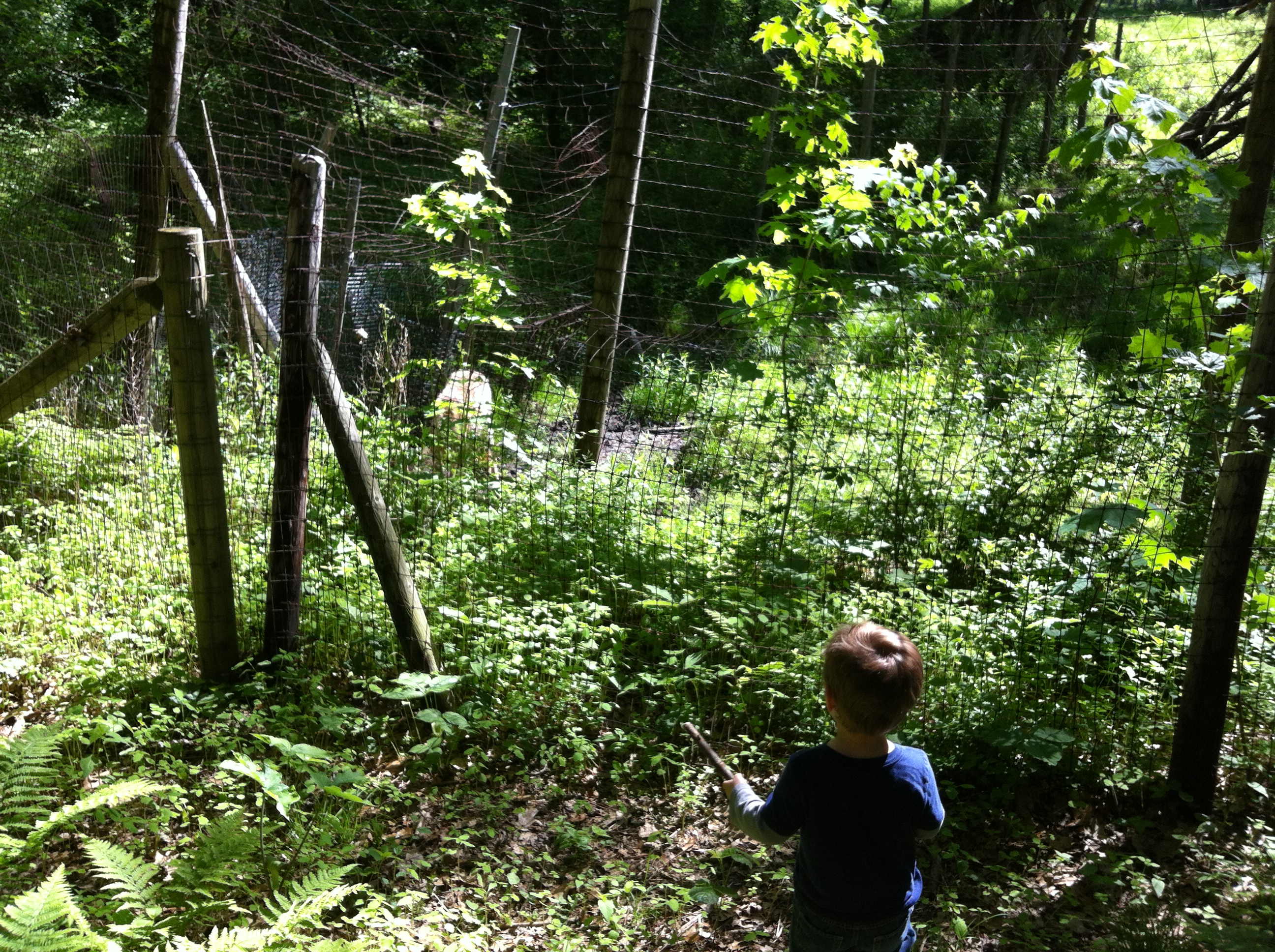 2014-06-01 09.47.54.jpg