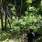 2014-06-01 09.47.54.jpg