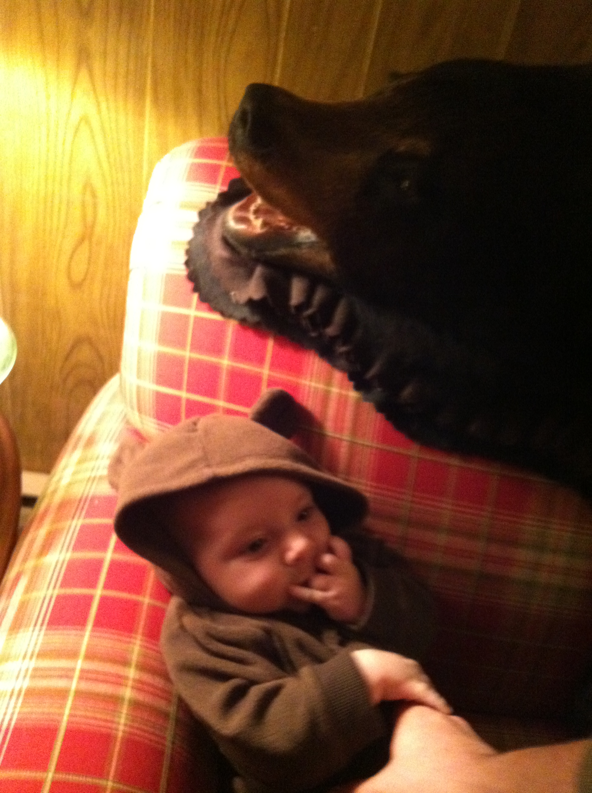 2011-12-25 19.55.21.jpg