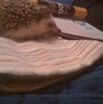 2010-08-15 21.44.28.jpg