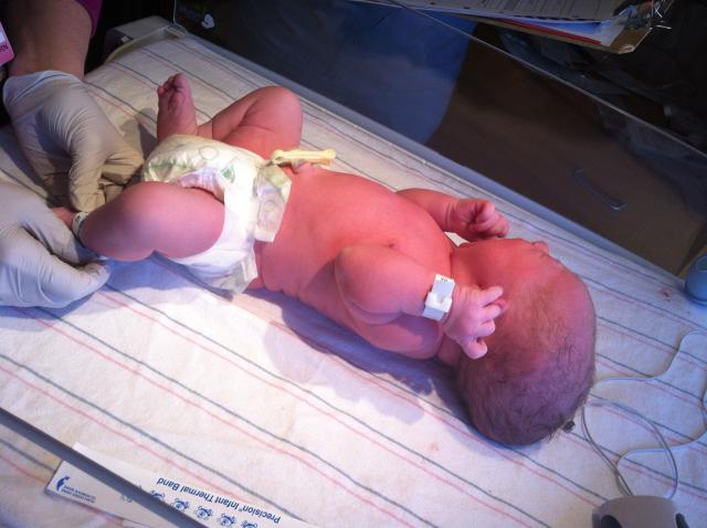 2014-01-24 11.29.19.jpg