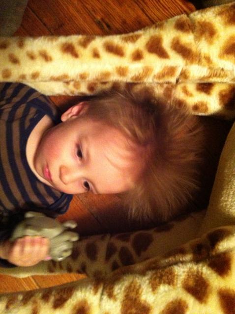 2013-03-15 19.58.40.jpg