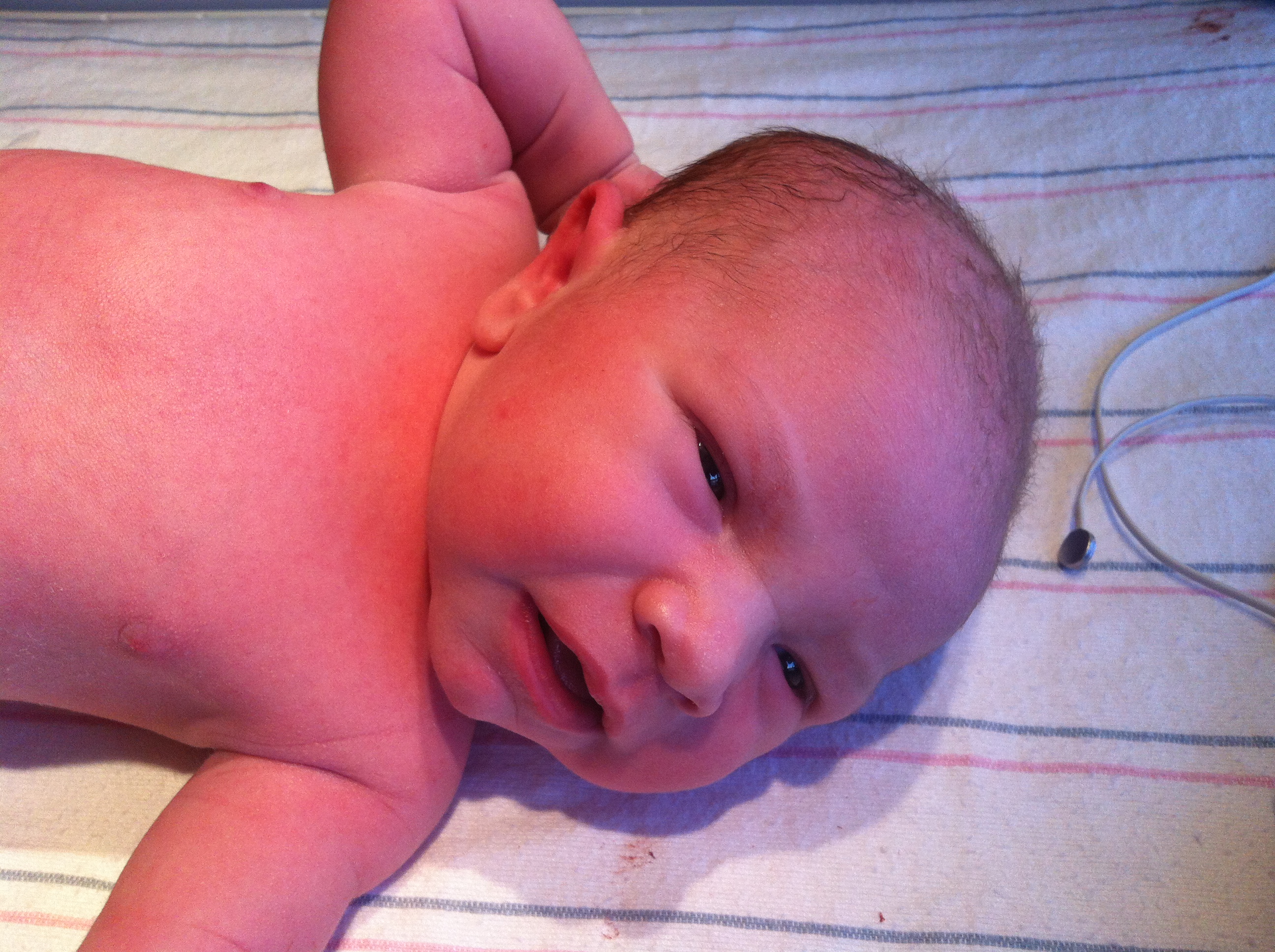 2014-01-24 11.30.20.jpg