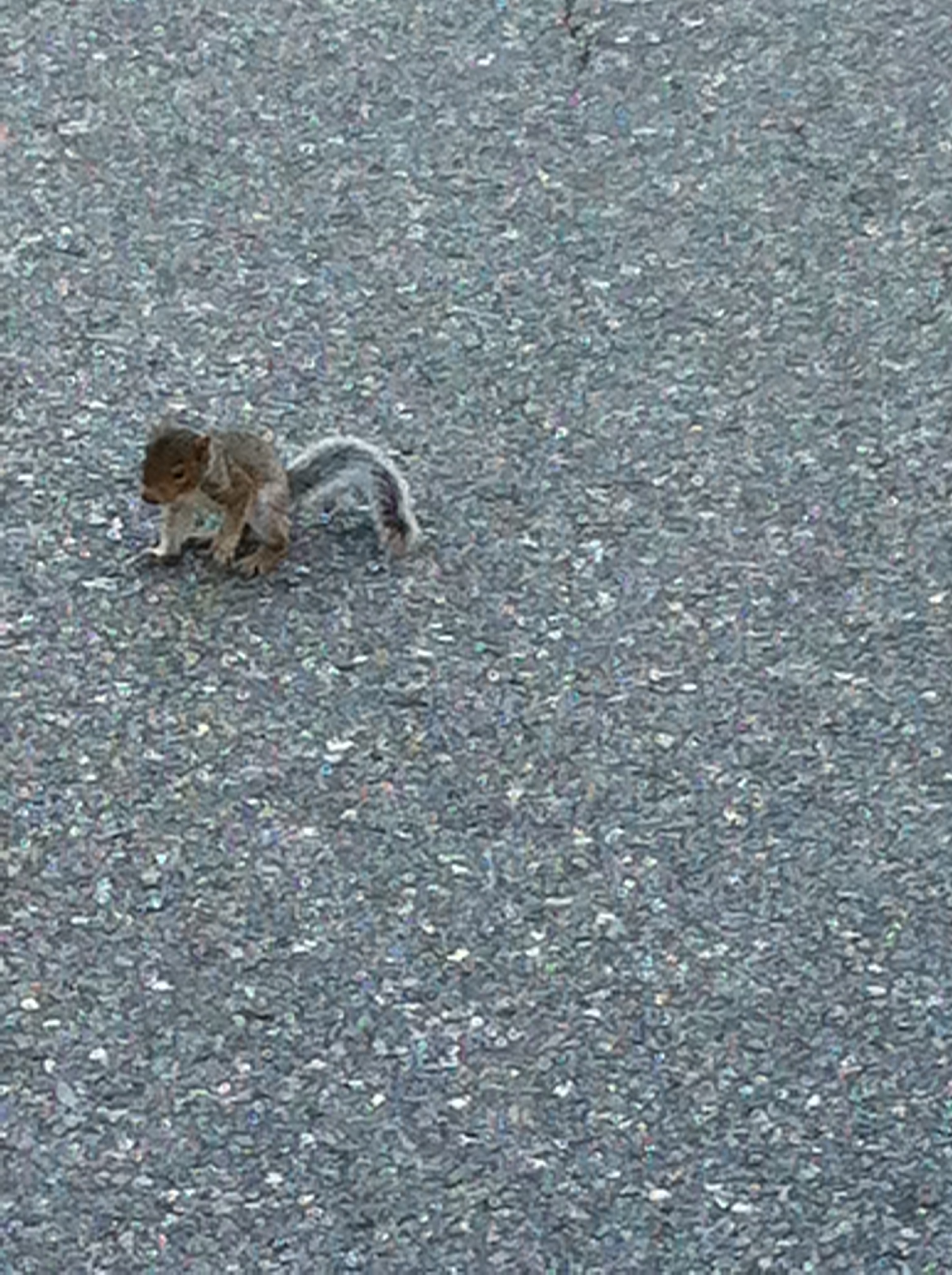 2012-05-19 18.37.04.jpg