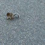 2012-05-19 18.37.04.jpg