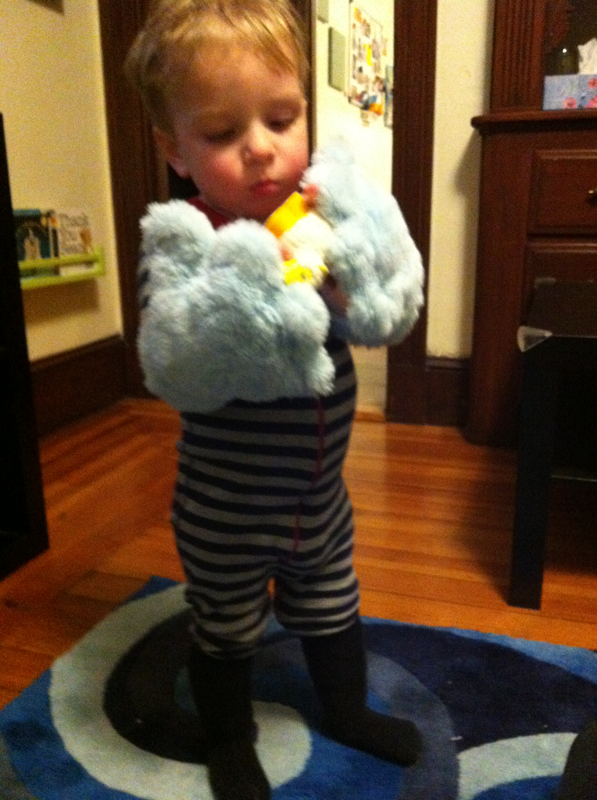 2013-02-21 19.34.43.jpg