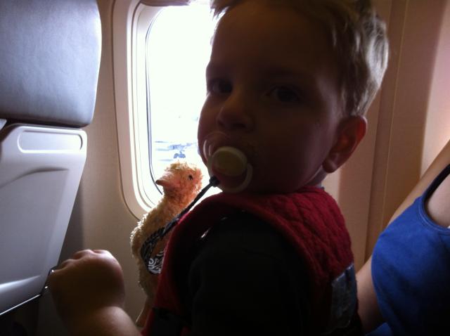 2013-05-18 17.16.18.jpg