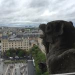 2015-05-03 14.44.31.jpg