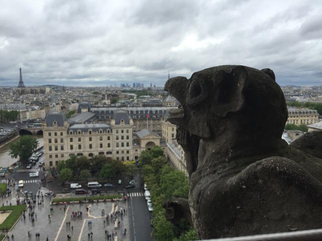 2015-05-03 14.44.31.jpg