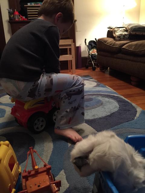 2015-06-02 20.00.13.jpg