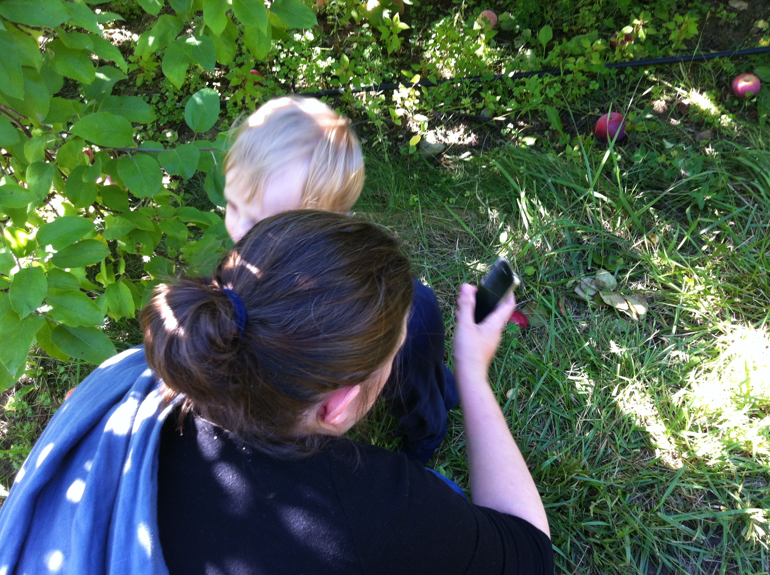 2012-09-22 14.08.04.jpg