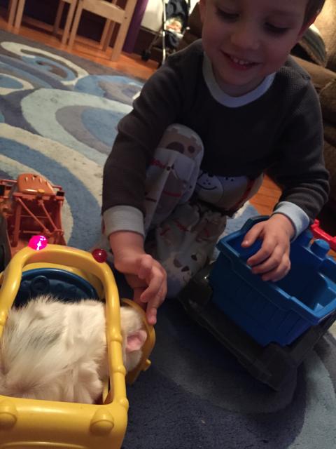 2015-06-02 19.54.33.jpg