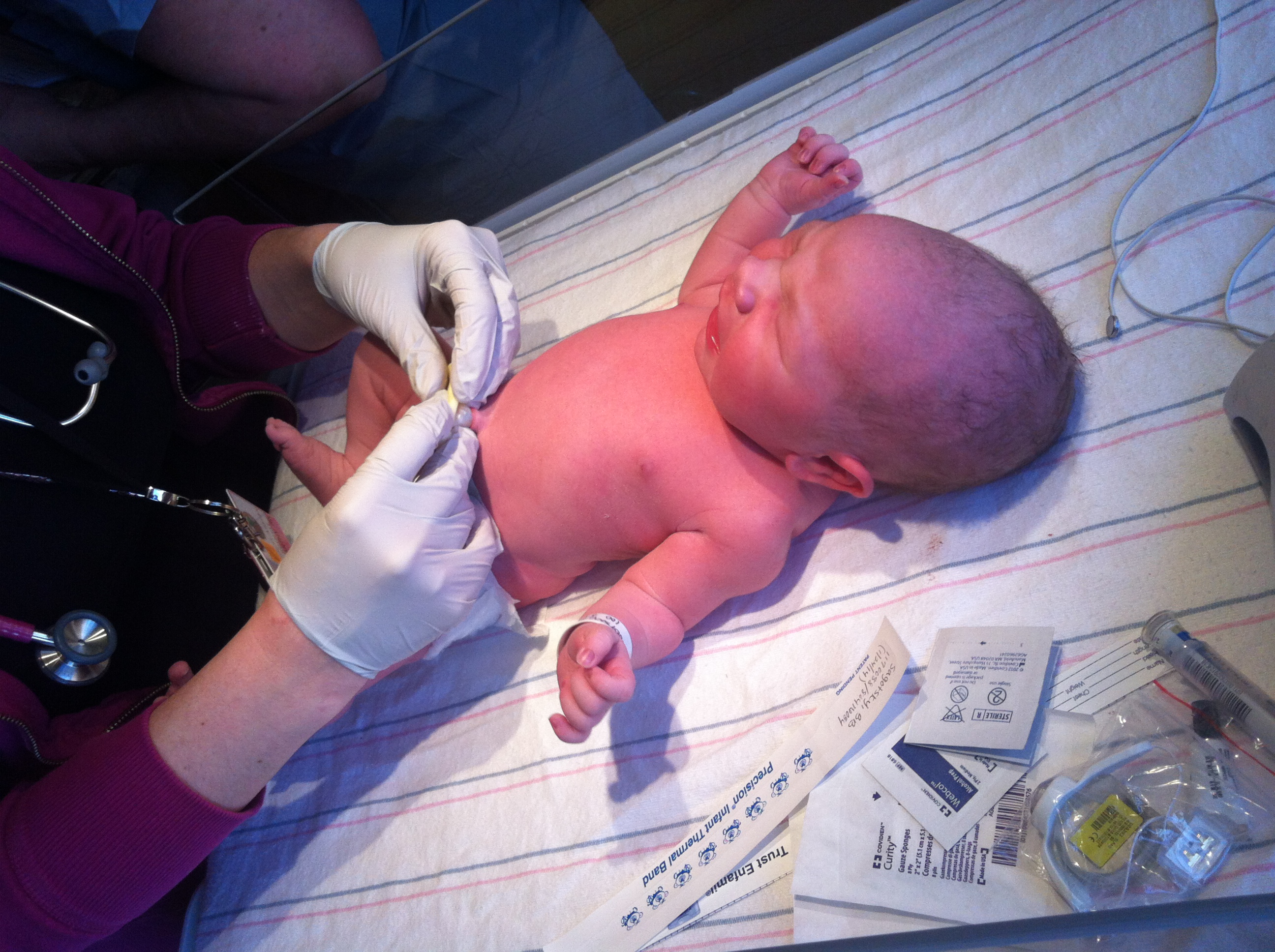 2014-01-24 11.29.39.jpg