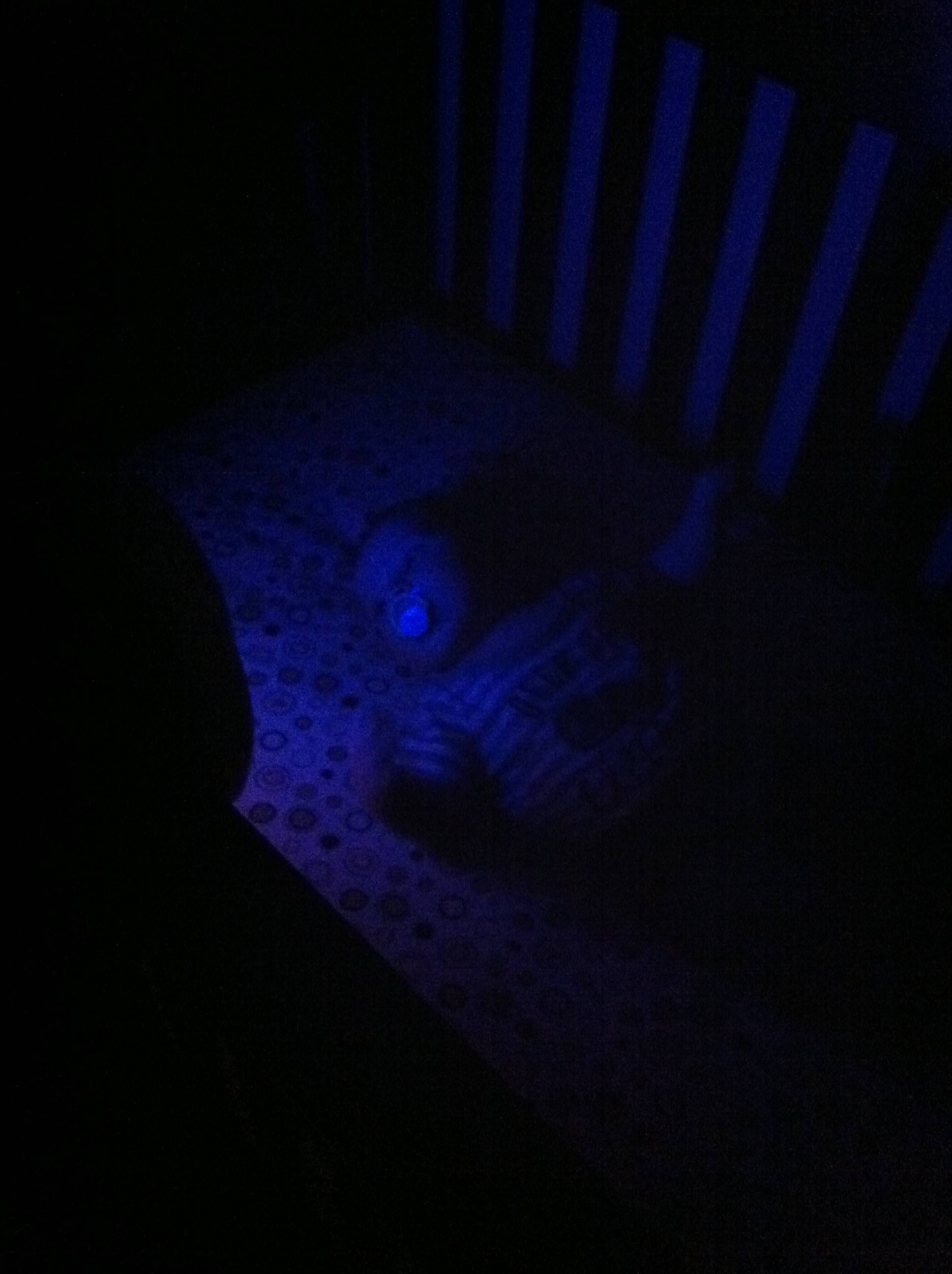 2012-01-28 21.24.25.jpg