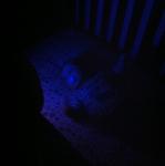 2012-01-28 21.24.25.jpg