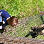 2014-06-01 10.12.45.mov