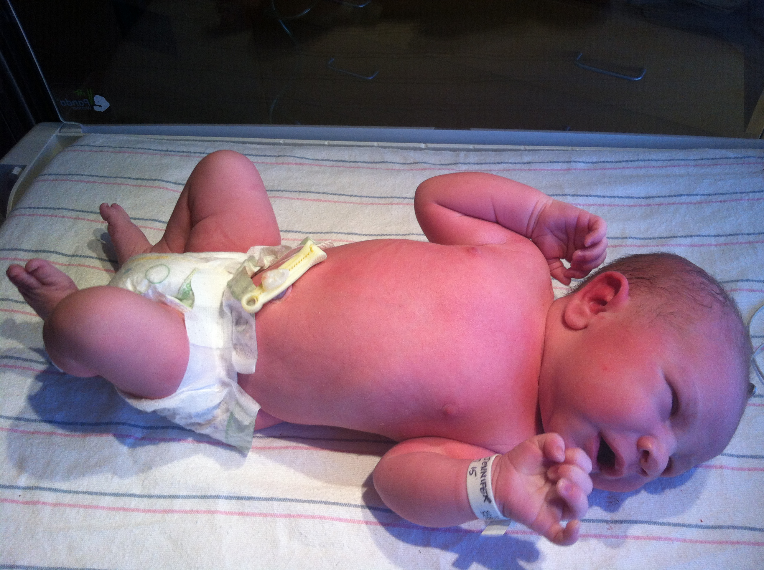 2014-01-24 11.30.02.jpg